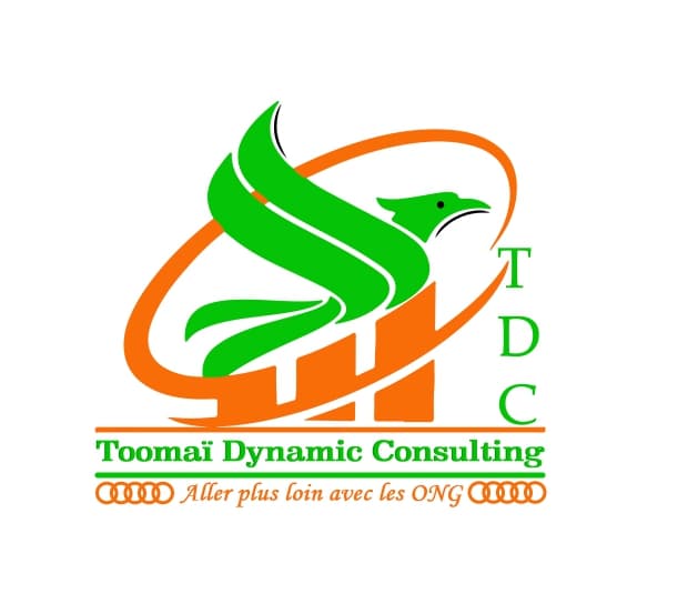 Toomaï Dynamic Consulting — Aller plus loin avec les ONG